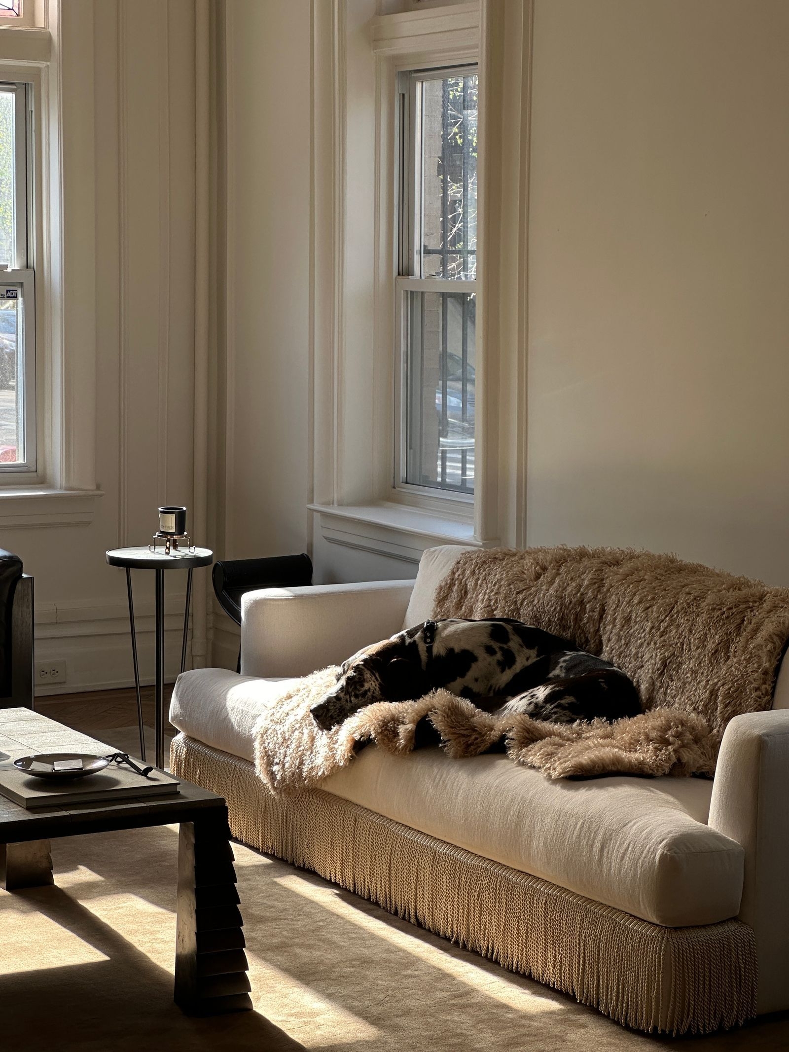 Fringed Sofa featuring Brush Fringe and transitional textured furniture