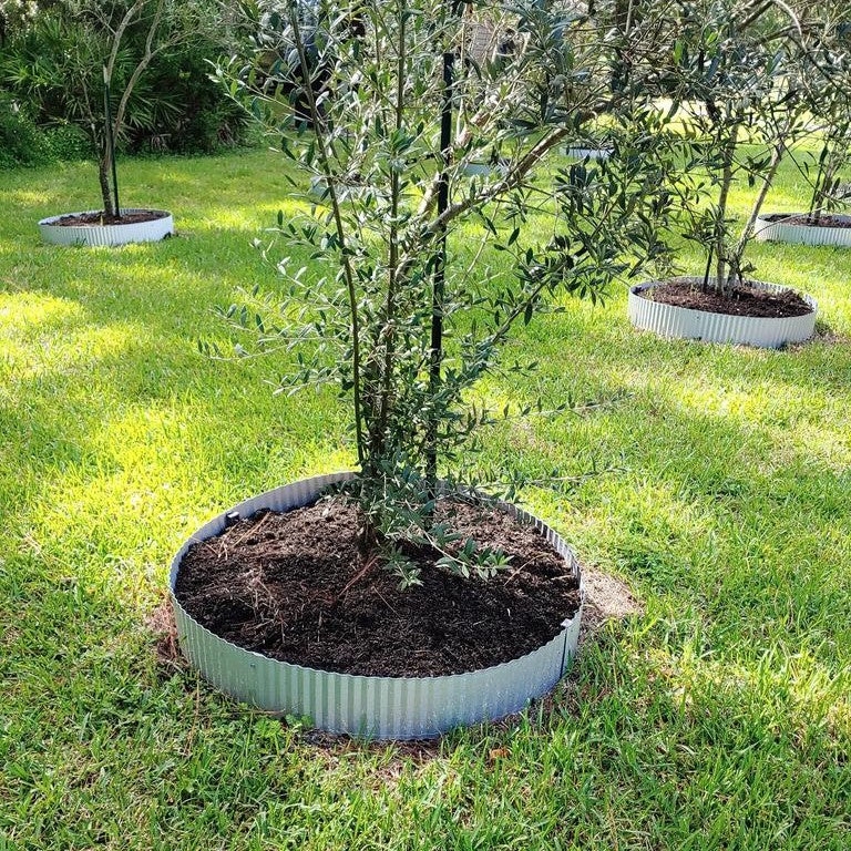 Garden Edging: Corrugated Texture Metal Tree Ring Border