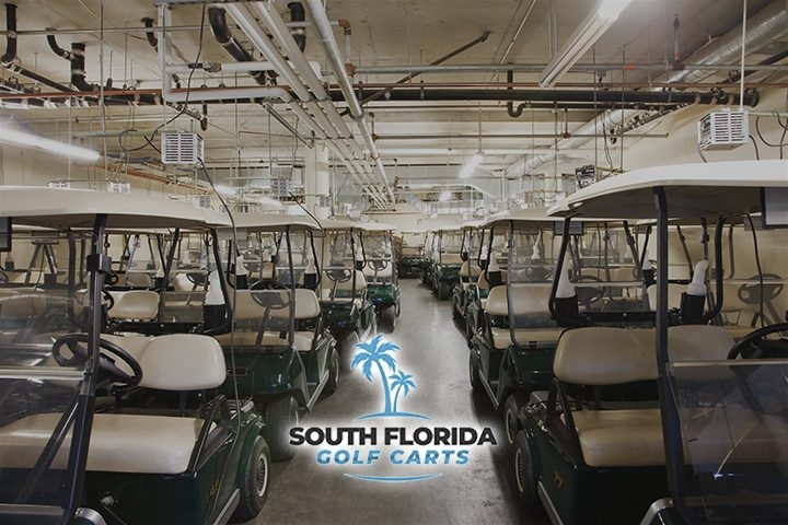 Golf Cart Fleet: Forest Green Body for Industrial Storage