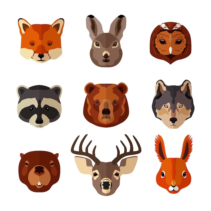 Graphic Illustration with Symmetrical Wildlife Icons Nursery Vector Icons