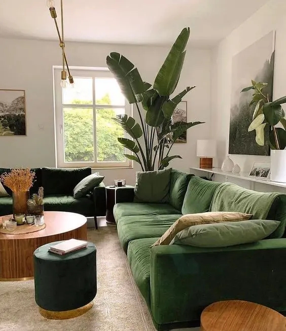 Green Sofa Emerald Velvet Bird Of Paradise Accent