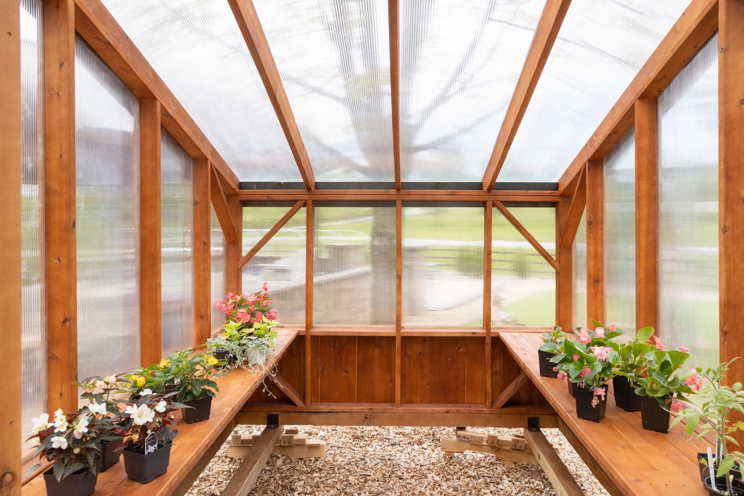 Greenhouse with Ribbed Panels: Cedar Wood Greenhouse Design