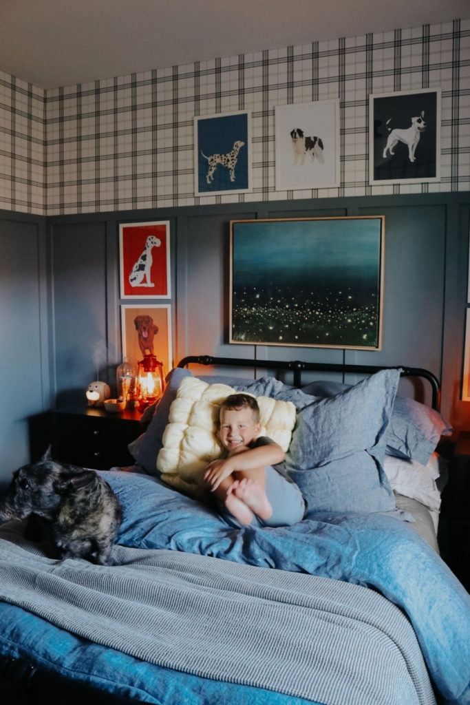 Kids Bedroom with Dog Themed Art and Plaid Wallpaper Design