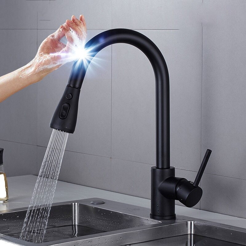 Kitchen Faucet: Assistive Touch Matte Black Pull Down.