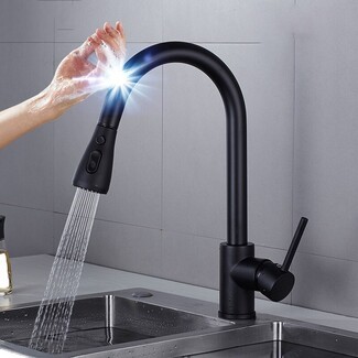 Kitchen Faucet: Assistive Touch Matte Black Pull Down.