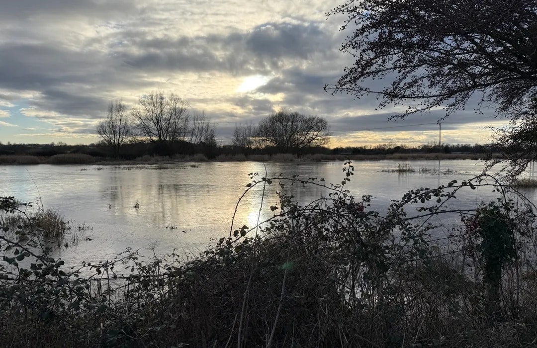 Lake Landscape in Winter with Sun Glimmer and Serene Vista