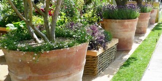 Large Terracotta Pot Woven Hurdle Mediterranean Terrace Design