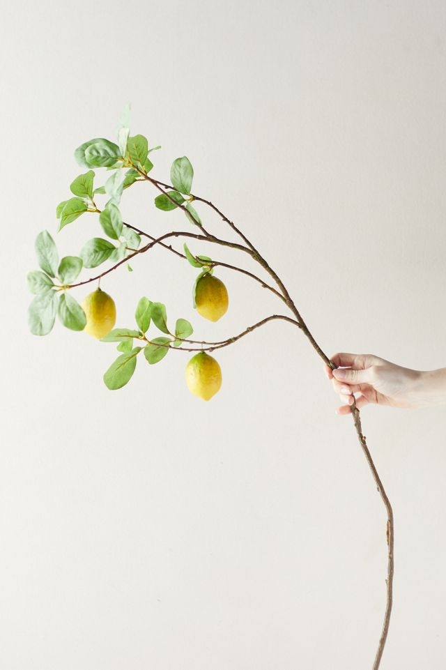 Lemon Branch Long Slender Stem Minimalist Botanical Accent