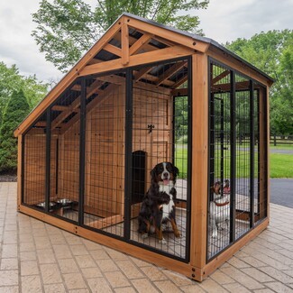 Luxury Dog Kennel Timber Truss Detail with Shelter