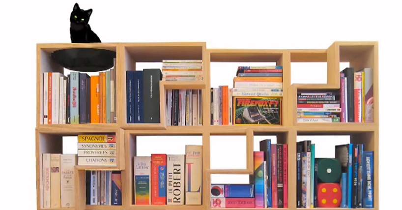 Modular Bookcase featuring Contemporary Cat Hammock Nook