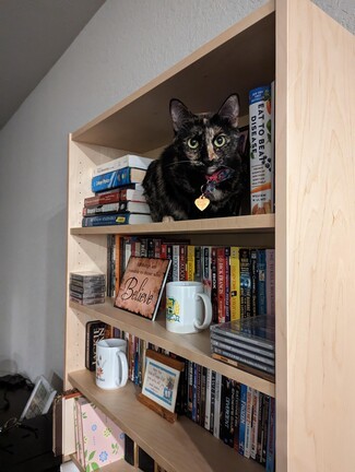 Open Bookcase with Adjustable Shelving: Scandinavian Style