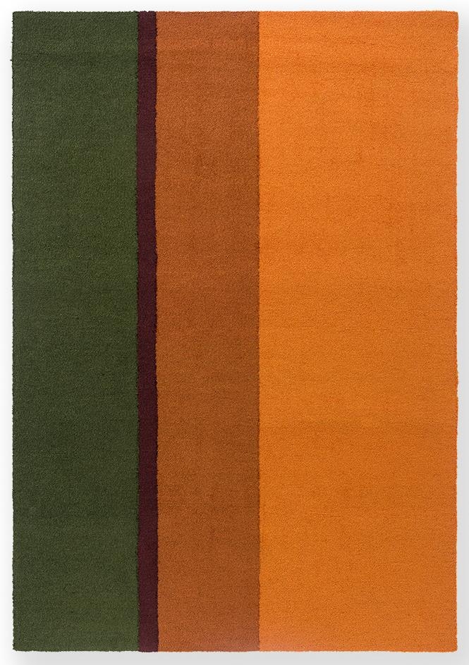 Outdoor Rug Asymmetrical Stripes Forest Green and Orange Rug