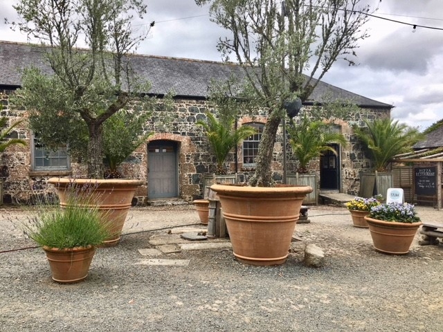 Oversized Planter with Horizontal Banding Tuscan Style Vessels