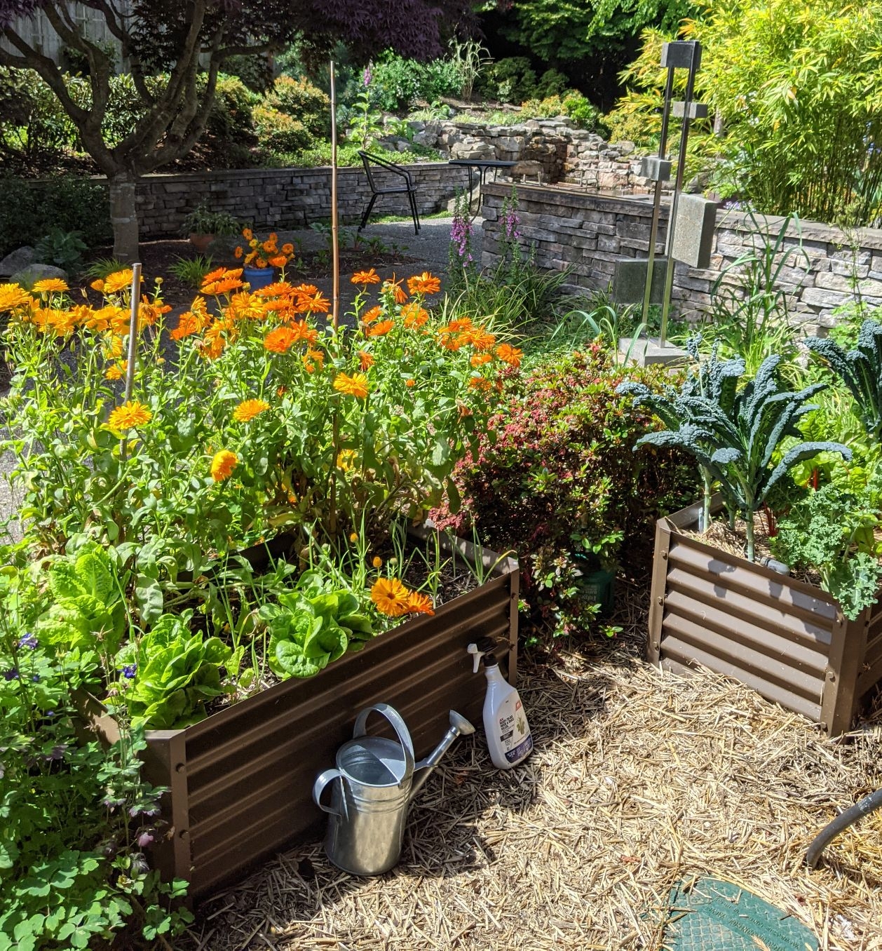 Raised Garden Bed: Bronze Finish Corrugated Vegetable Planter