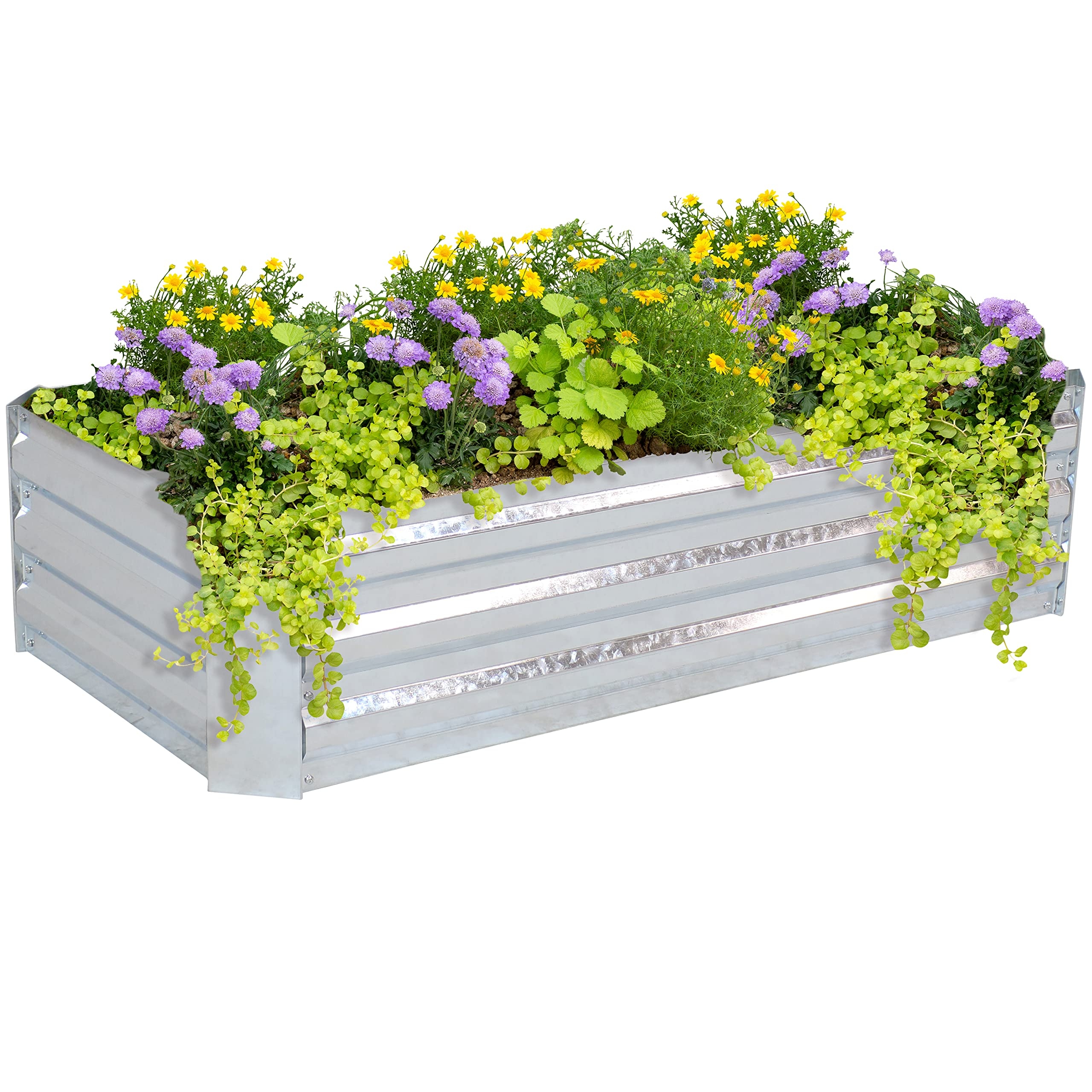 Raised Garden Bed: Low Profile Height Galvanized Metal Container