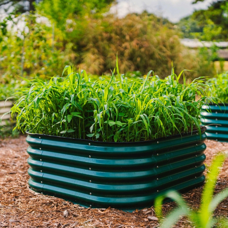 Raised Garden Bed: Modular Kit Forest Green Metal Container