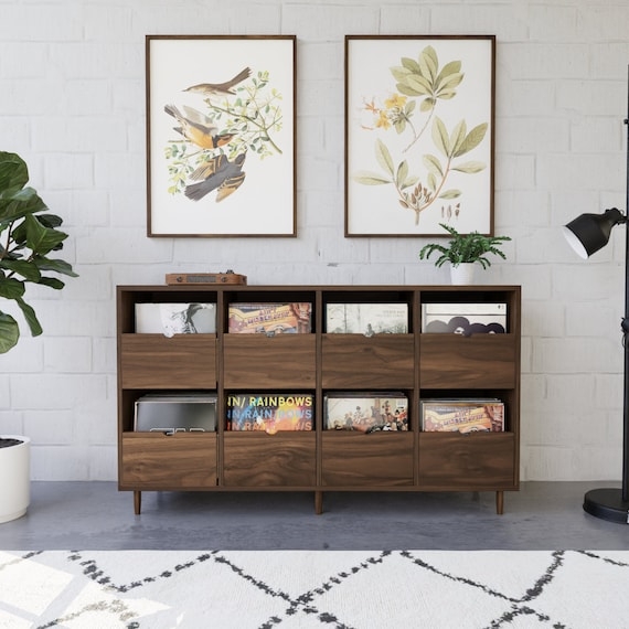 Record Credenza with Pull Out Storage and Hardwood Record Unit