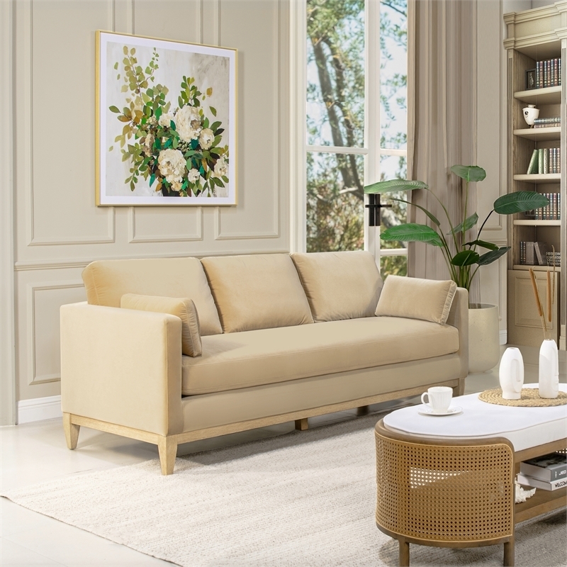 Sofa with Fawn Performance Velvet and Fawn Brown Velvet Sofa