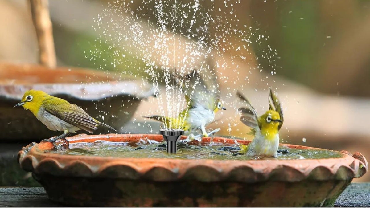 Solar Fountain Birdbath Vertical Spray Terracotta