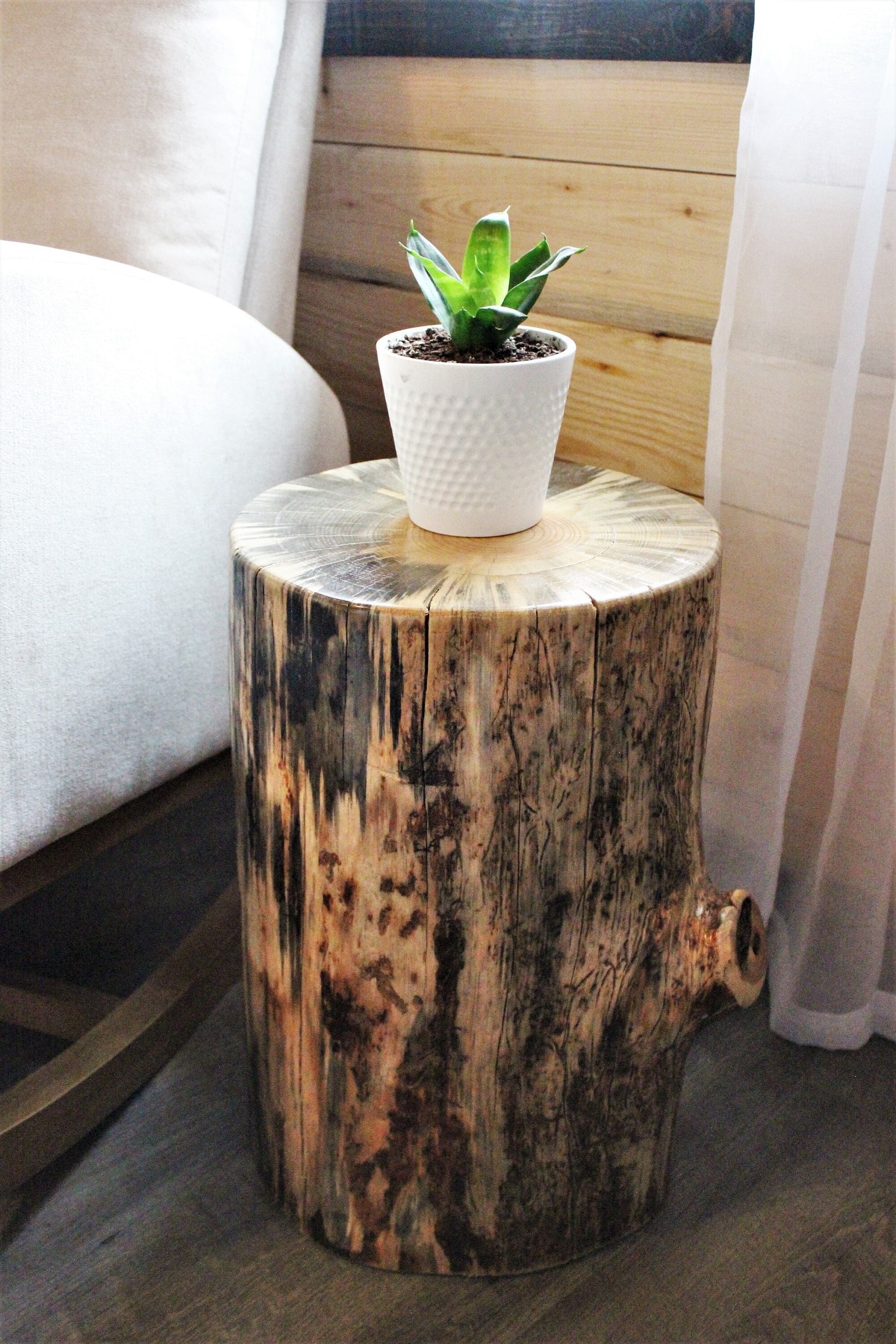 Stump Side Table Vertical Grain Contrast Wood Texture