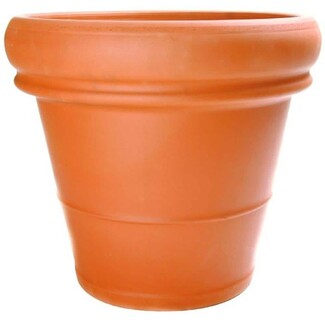 Terra Cotta Pot using Heavy Rim Heavy Rimmed Clay Planter