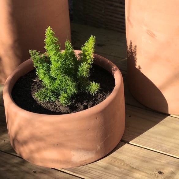 Terracotta Planter Low Profile Artisanal Clay Planter
