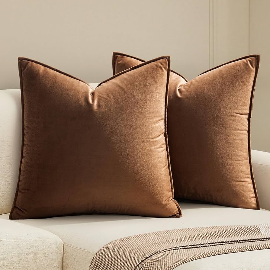 Brown Velvet Pillows