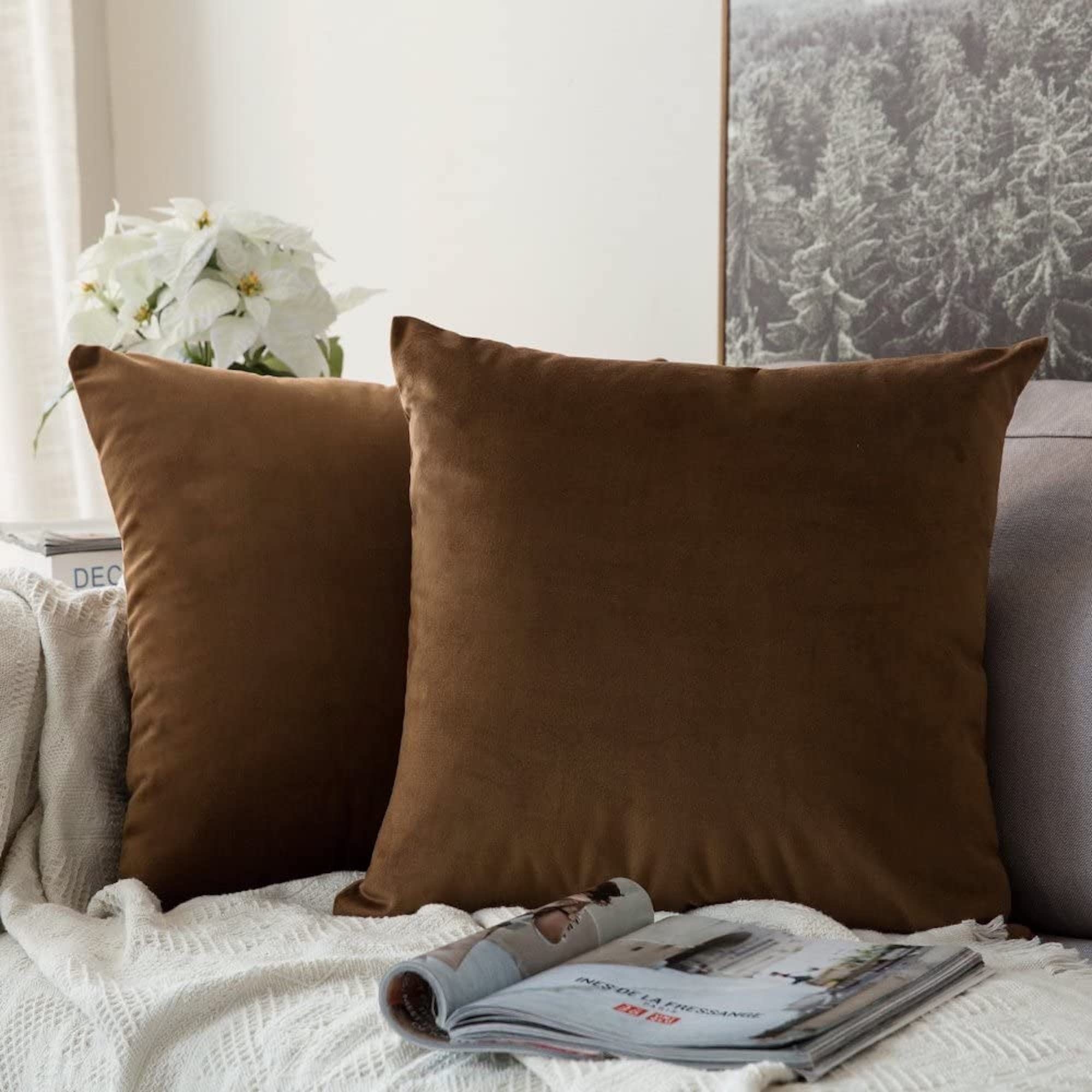 Throw Pillow: Velvet Like Chocolate Organic Accent Decor