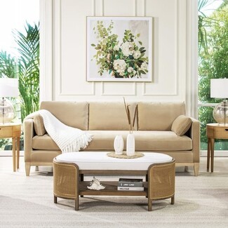 Track Arm Sofa Velvet Texture Transitional Velvet Sofa