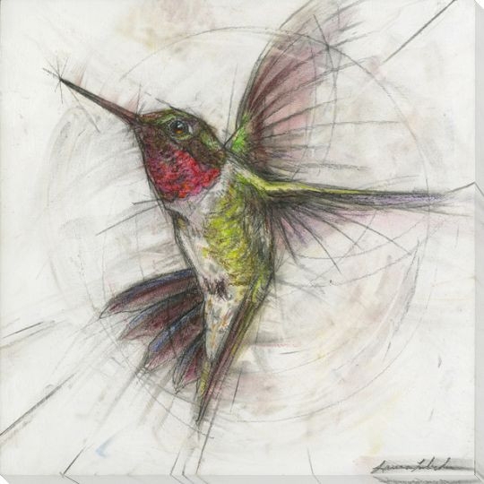 Wall Art: Geometric Construction Lines Ruby Throated Bird Study