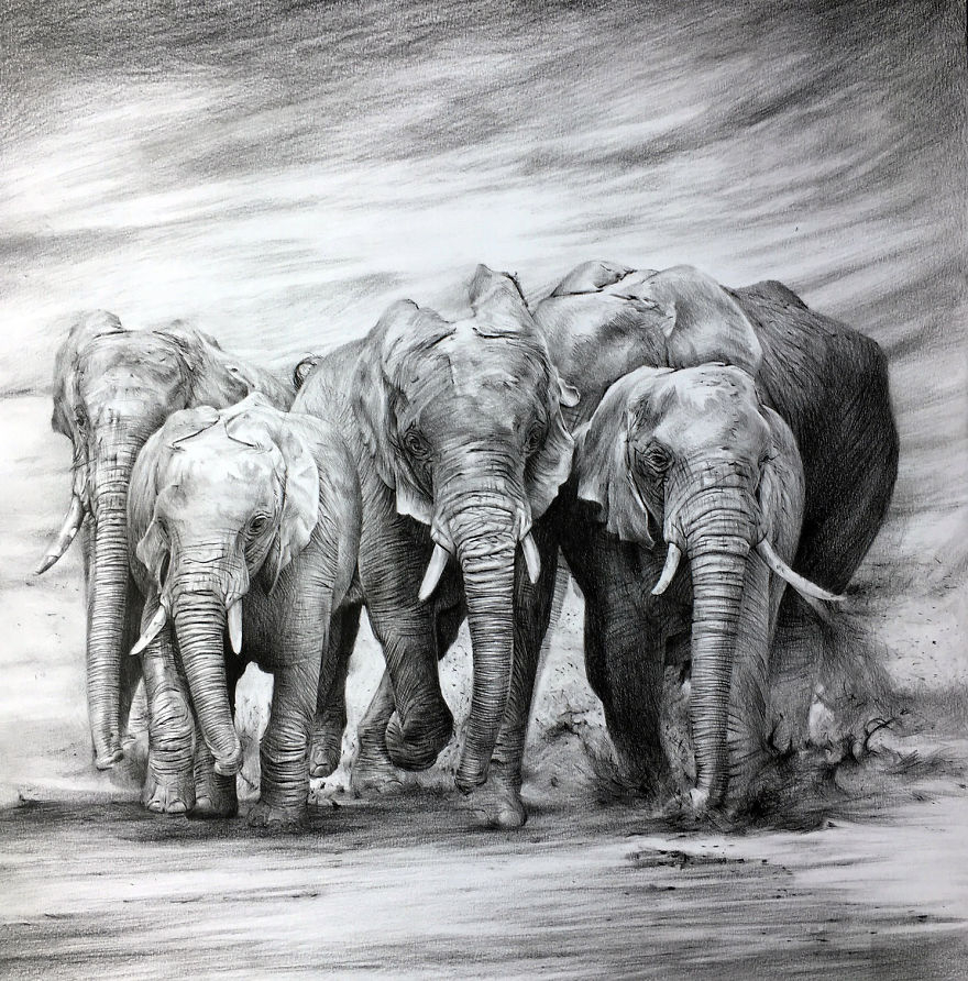 Wall Art Hand Drawn Herd with Monochromatic Realism Sketch