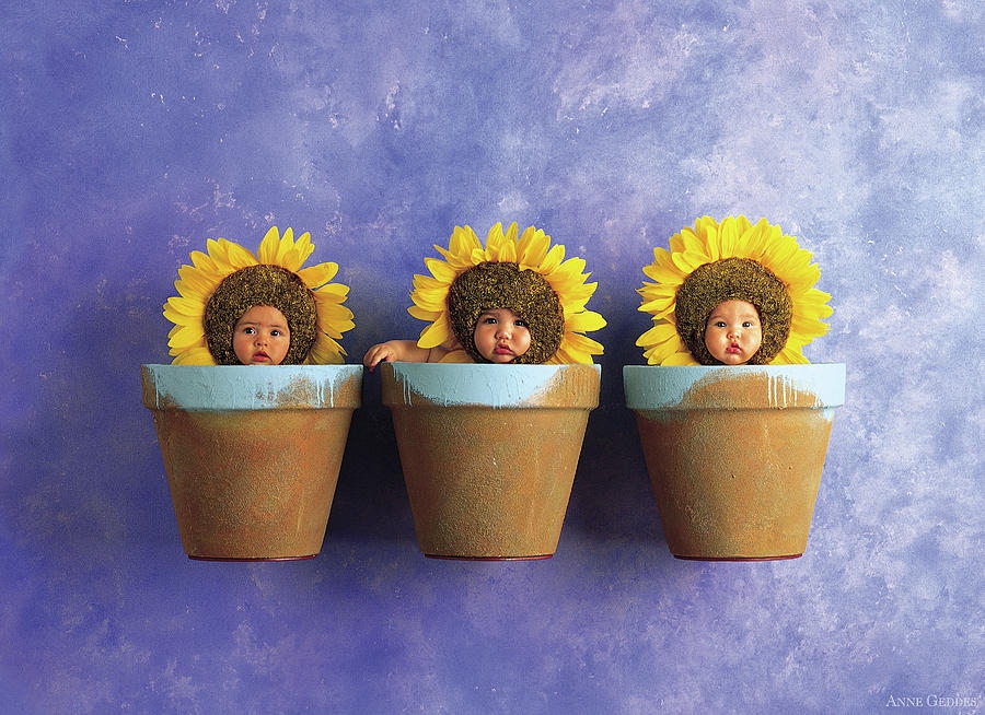 Wall Art: Whimsical Sunflower Nursery Art with Trio Arrangement