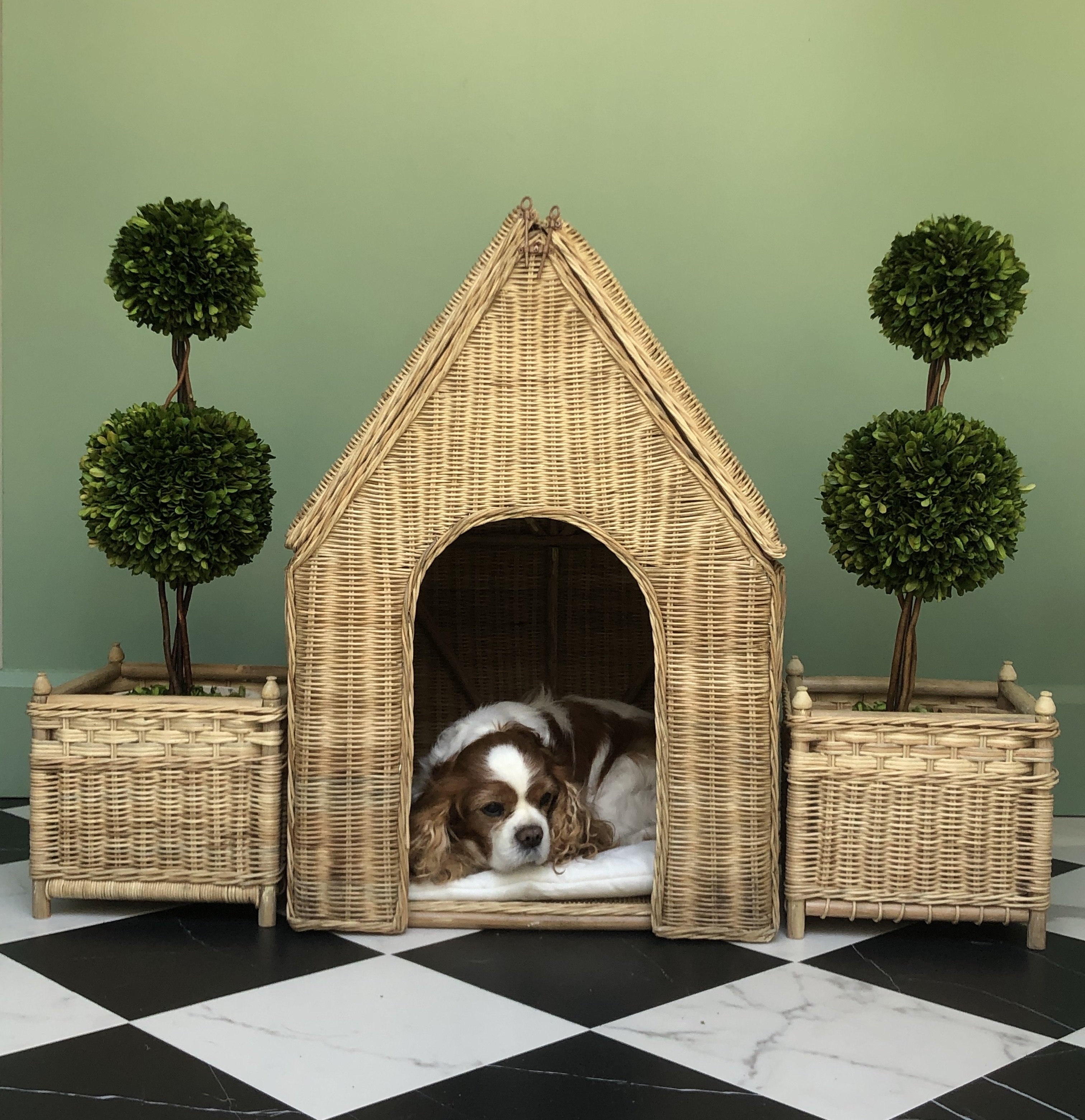 Wicker Doghouse Woven Rattan Pitched Roof Residence