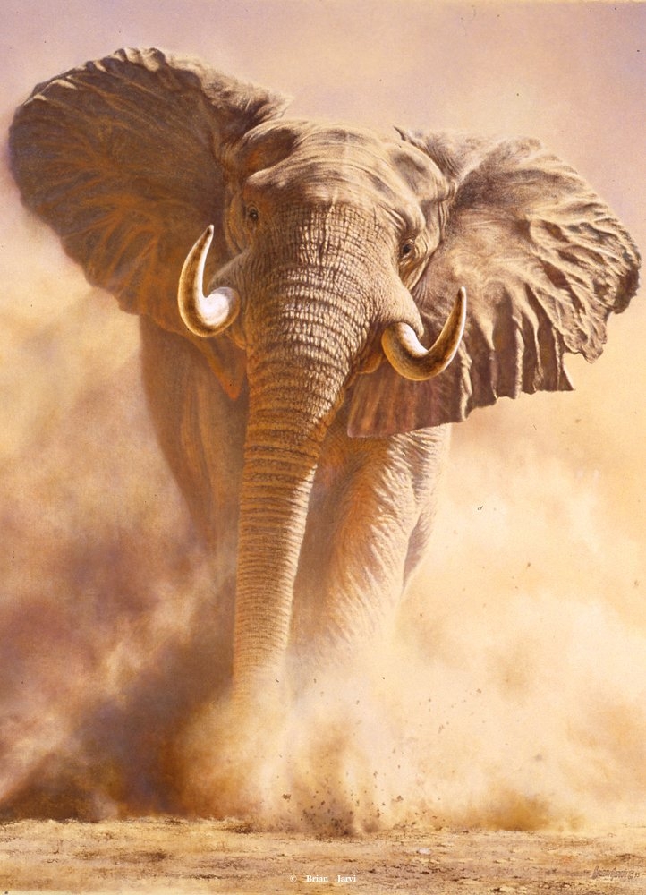 Wildlife Art Charging Elephant Sepia Big Five Elephant Print