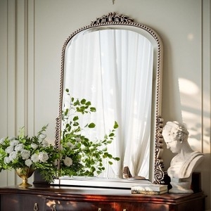 Arched Mirror Wall Silhouette Ornate Silver Frame