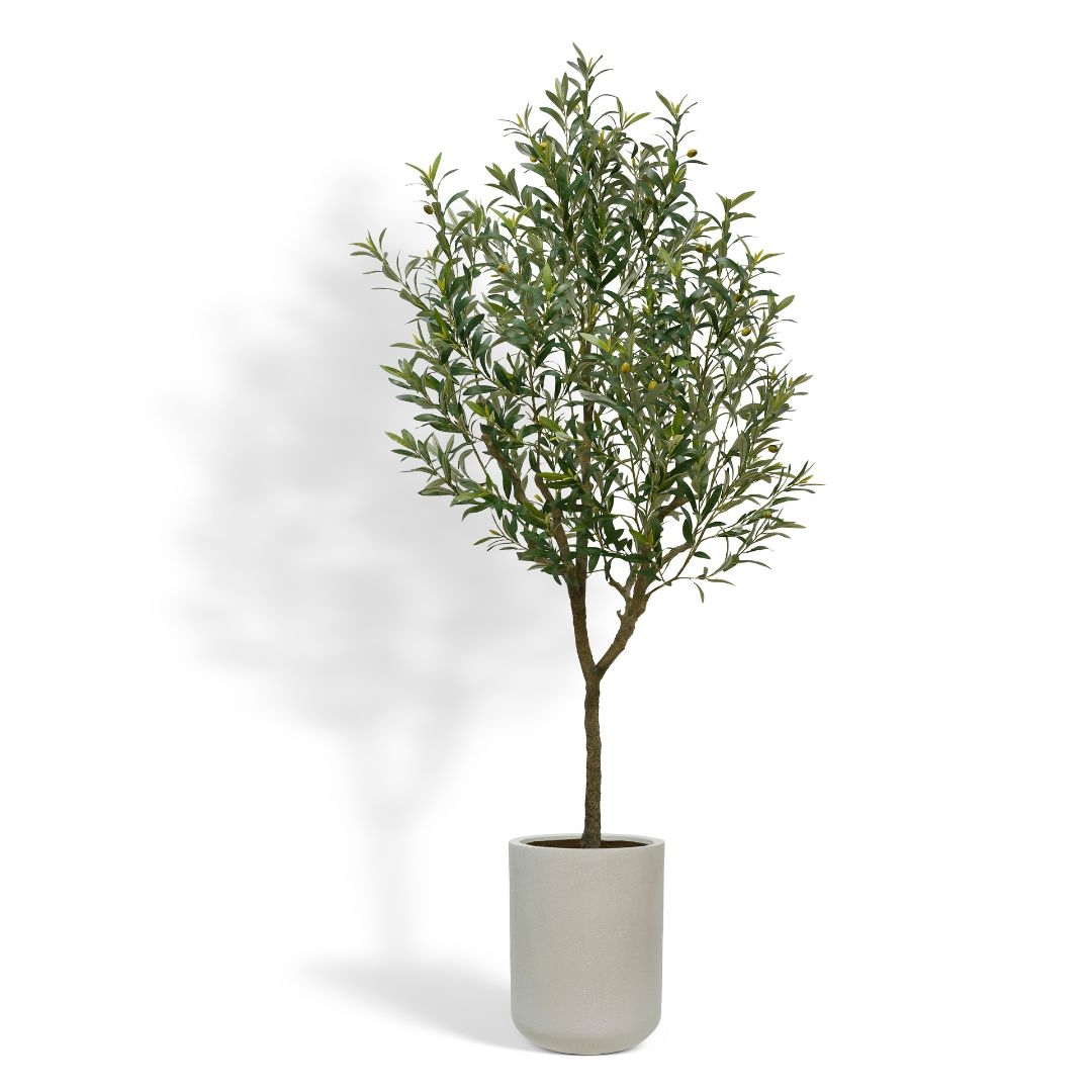 Artificial Olive Tree: 7ft Tall & Cylindrical Stone Pot