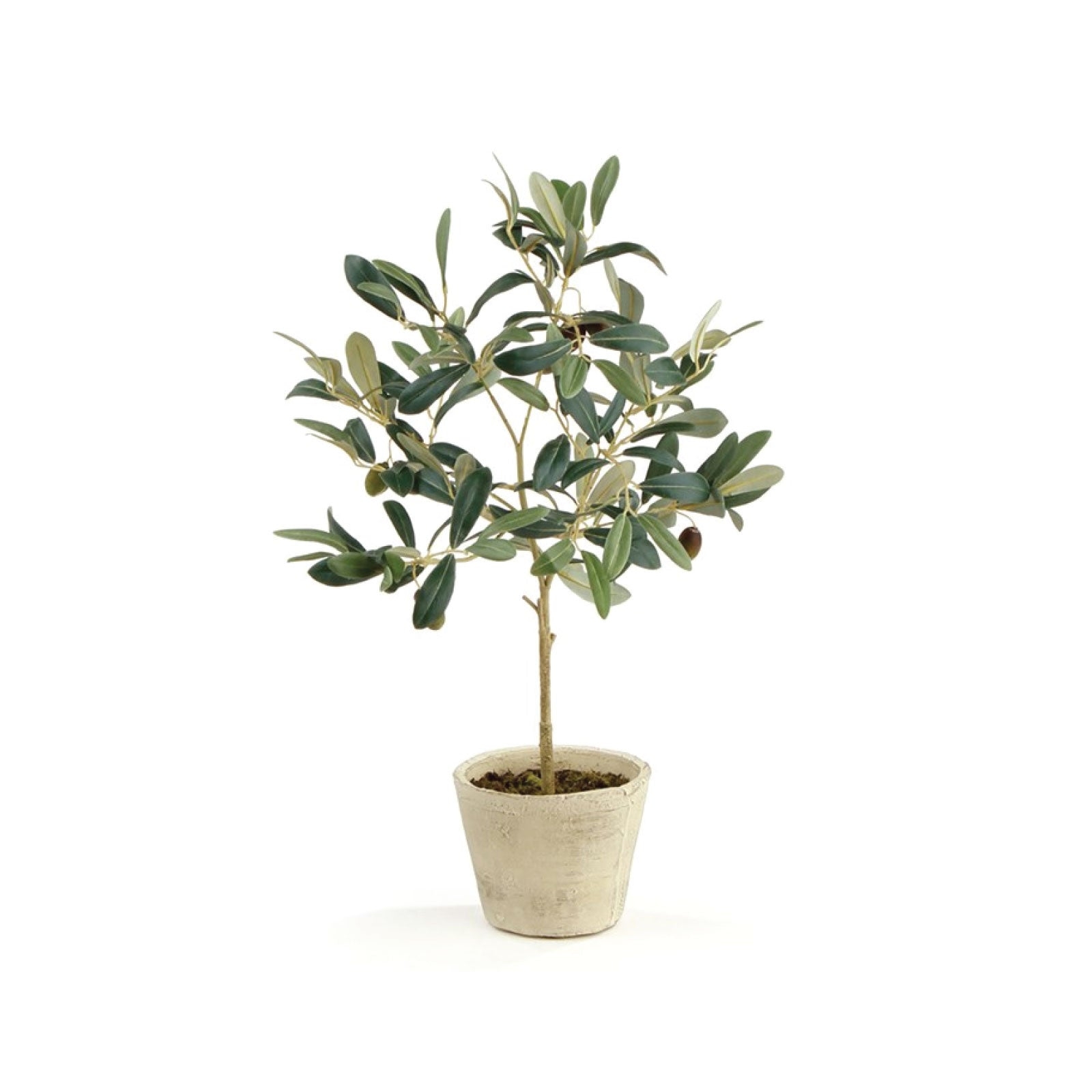 Artificial Plant Petite Mediterranean Weathered Pot Nook