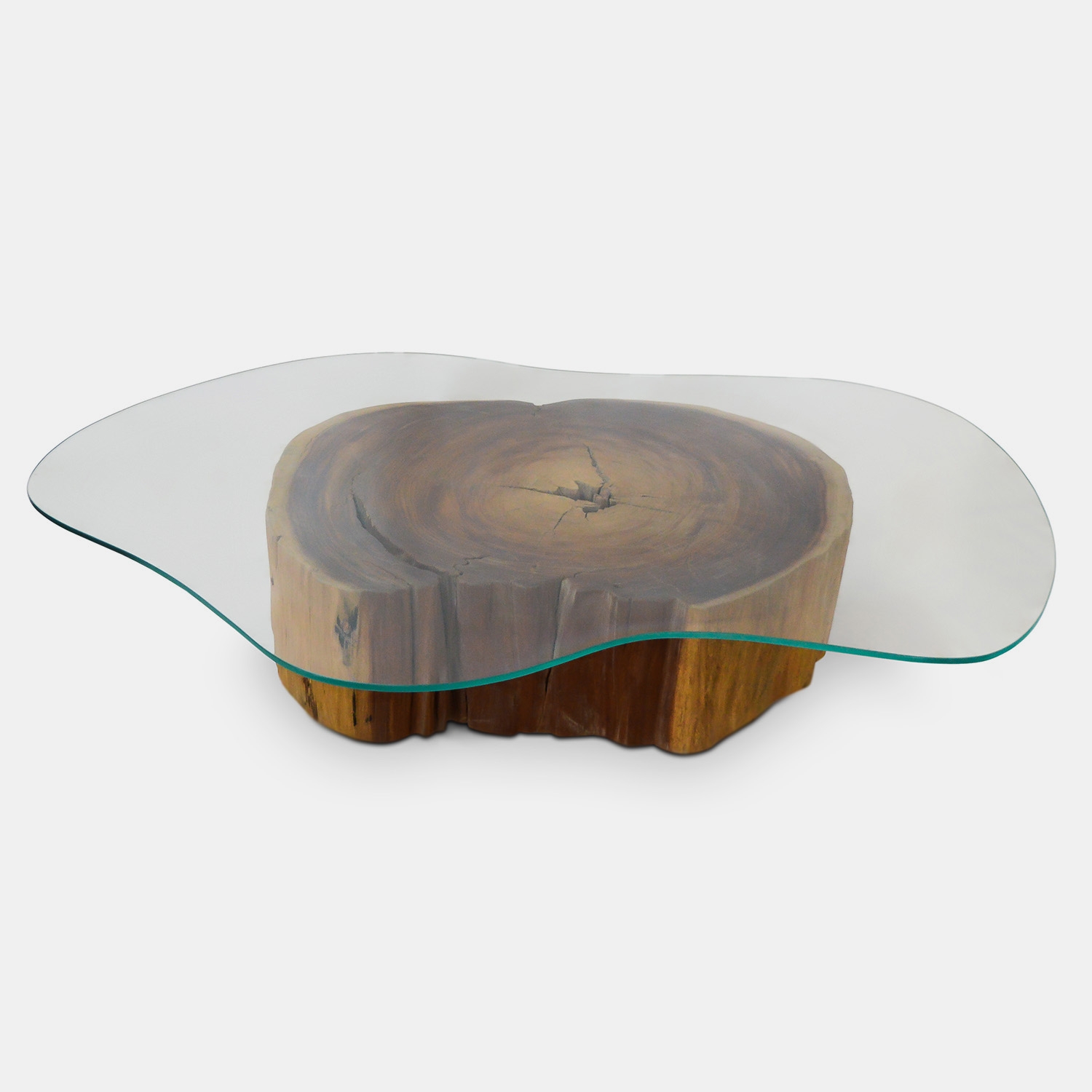 Coffee Table: Organic Glass Top Crosscut Wood Trunk