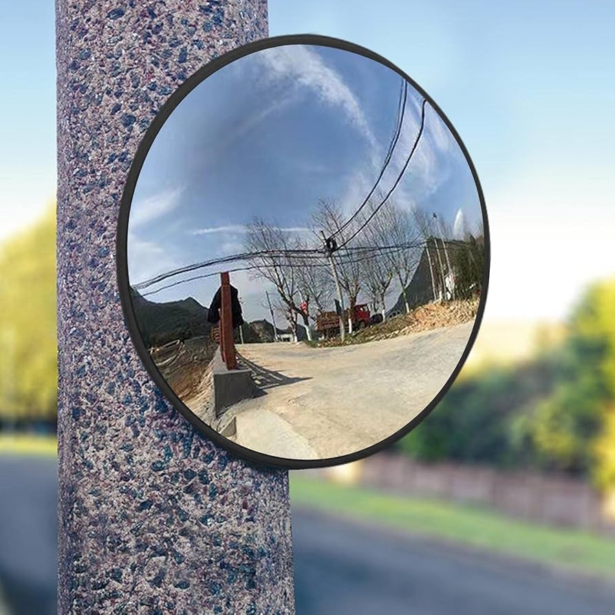 Mirror Fish Eye