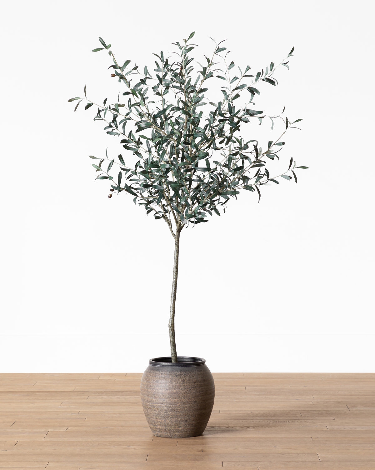 Faux Olive Tree: 72 Inch Height & Textured Ceramic Pot