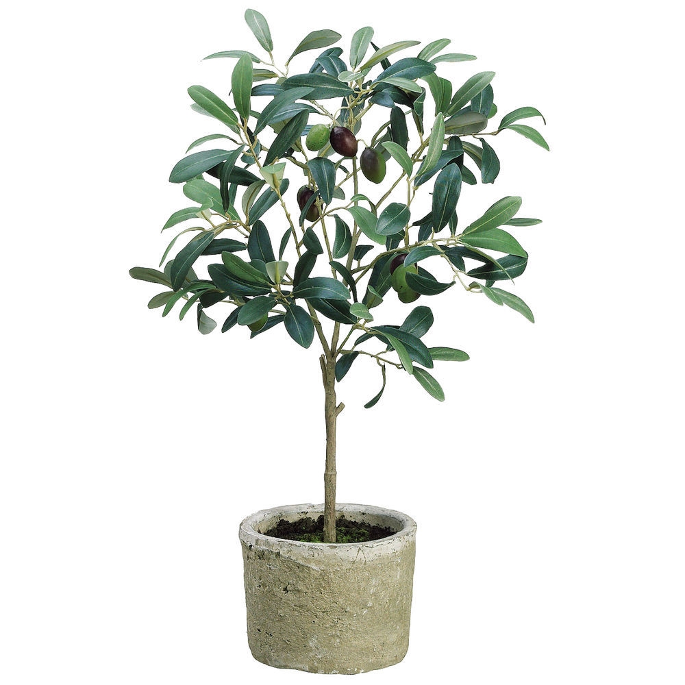 Faux Olive Tree Distressed Stone Look Floor Pot Decor