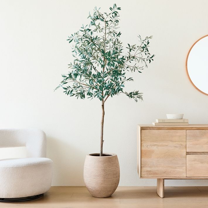Olive Tree Plant Pots