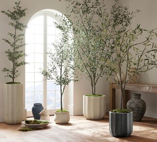 Faux Olive Tree: Tall 9 Foot Scale & Fluted Ribbed Pot