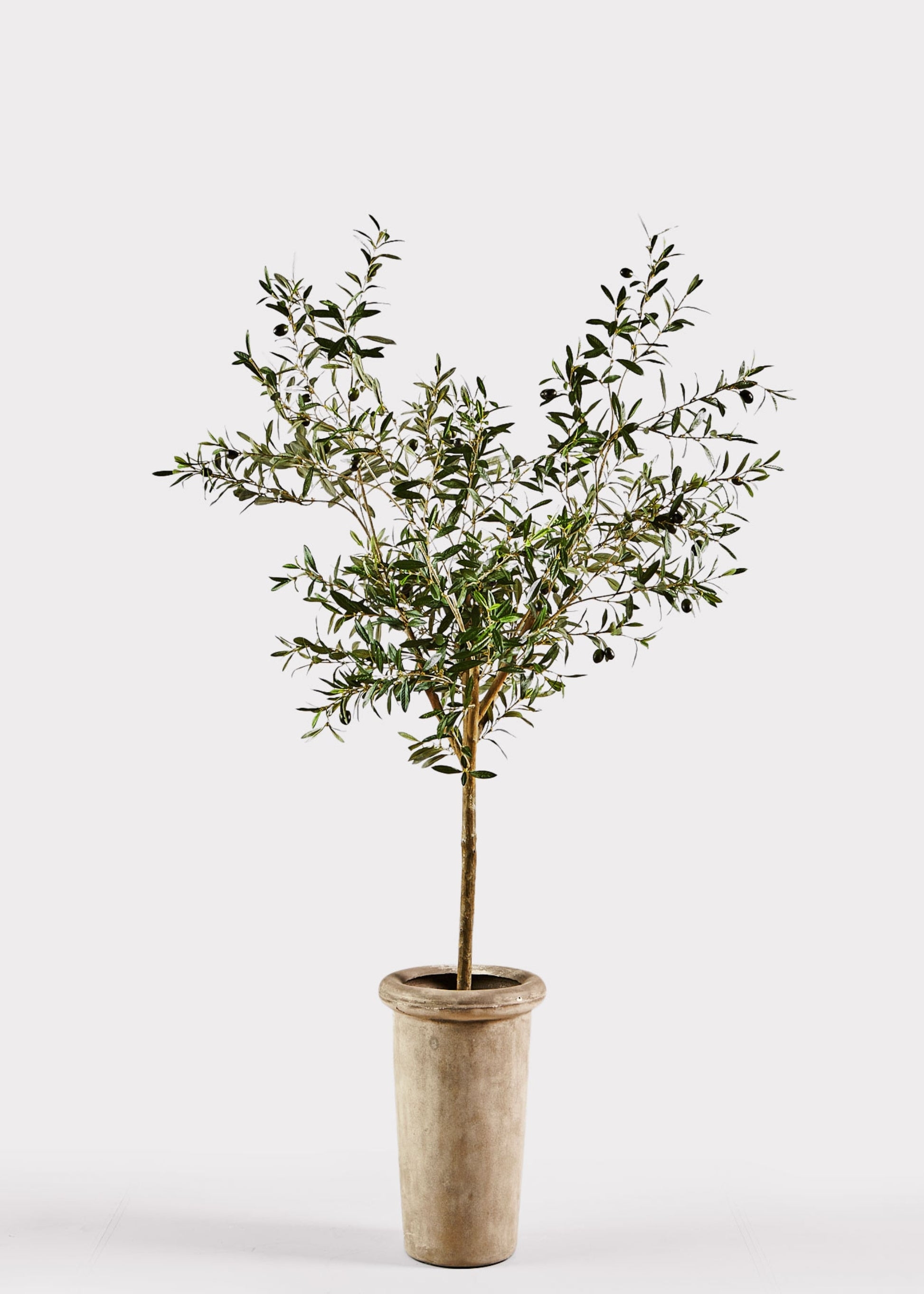 Faux Olive Tree Tall Tapered Distressed Pot Mediterranean