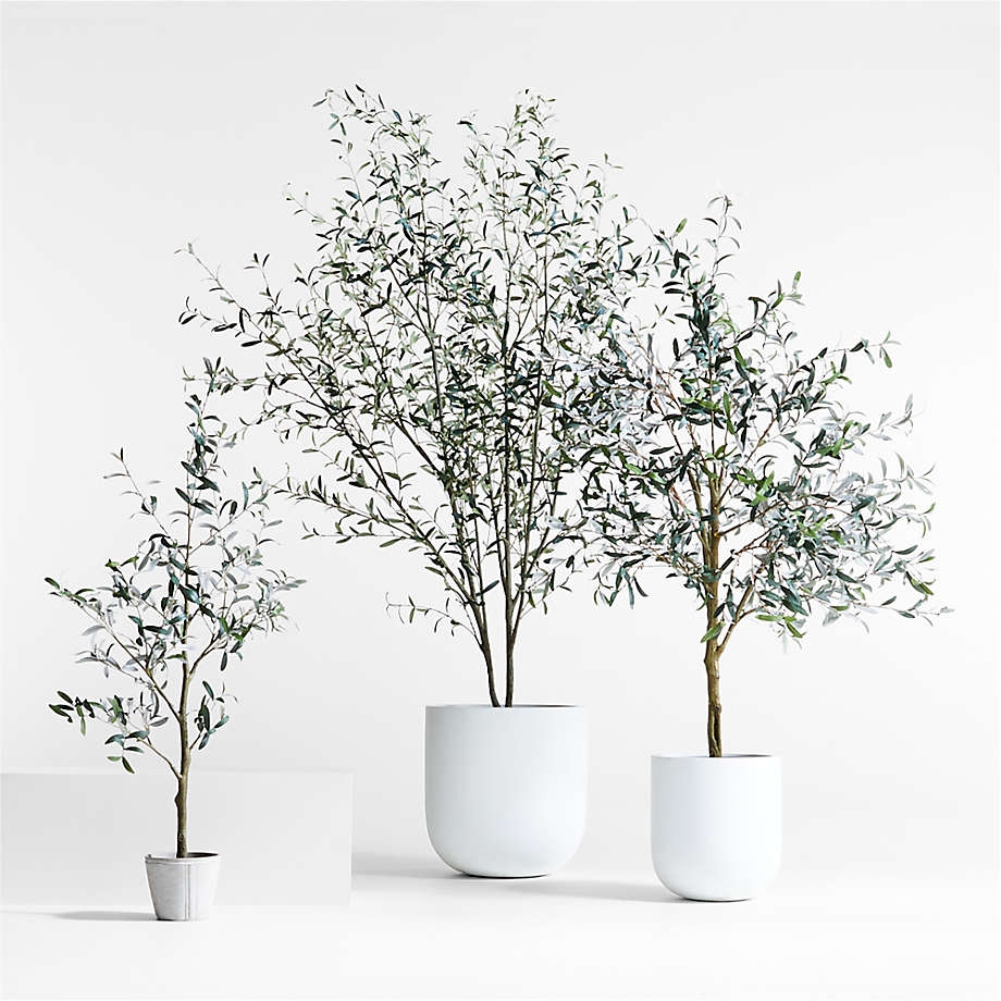 Faux Olive Trees Set Varied Heights Rounded White Pots