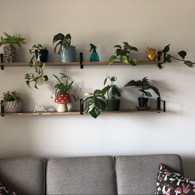 Floating Shelves: L-Bracket Support Long Rustic Floating Shelves