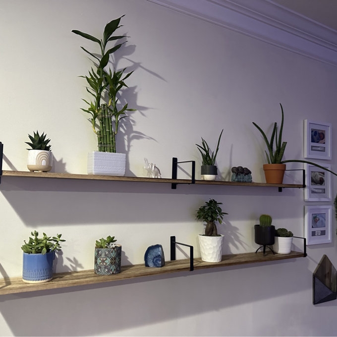 Floating Shelves: Rustic Wood Burnt Finish Wall Shelf Set