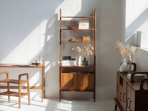 Ladder Bookshelf with Plywood Construction and Storage