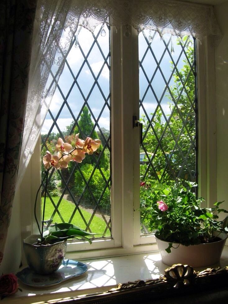 Lattice Window - Cottagecore White Diamond Panes With Lace Valance