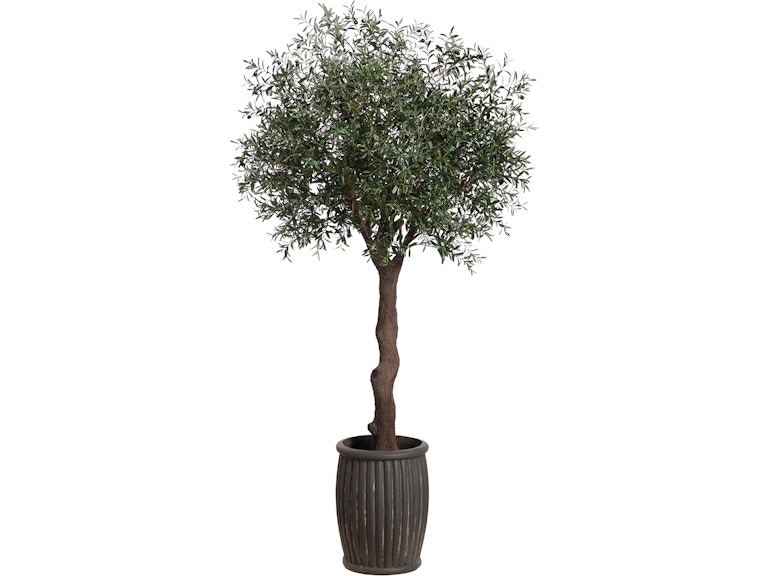 Olive Tree 10ft Scale Gnarled Trunk Fluted Planter